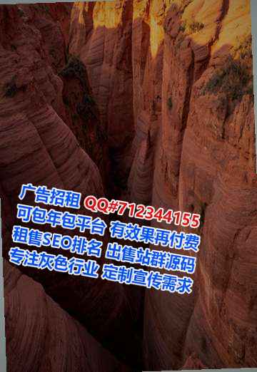 恩阳代妈运输经营部